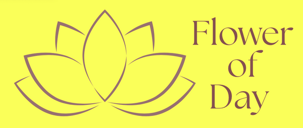 Flower of day